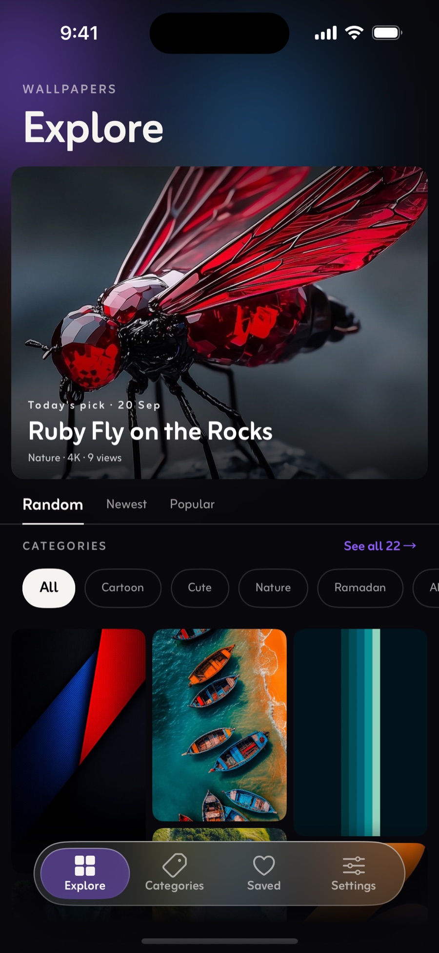 ZaPixel on iPhone in its dark theme: the Explore screen, with Random, Newest and Popular sorts, a row of category chips and a grid of wallpapers below.